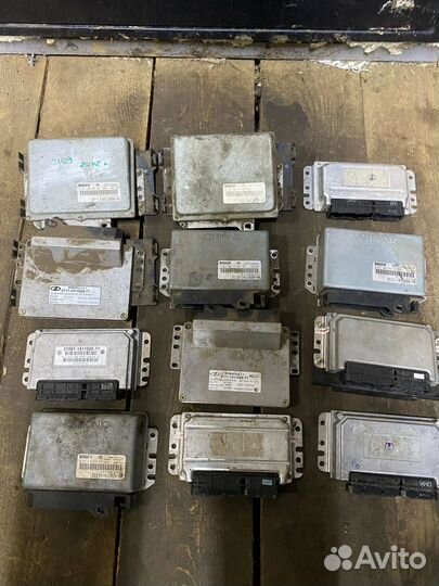 Эбу, Мозги на ваз