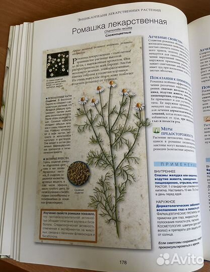 Энциклопедия лекарственных растений