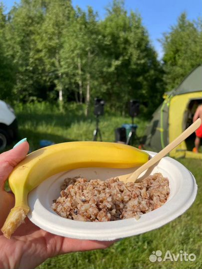 Сплавы на Сапах