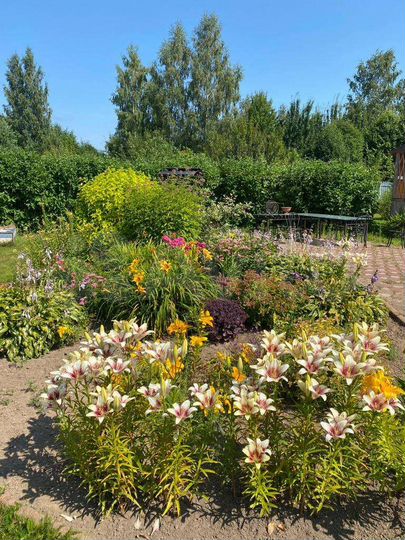 Дом 120 м² на участке 100 сот.