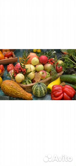 Удобрение Акварин 