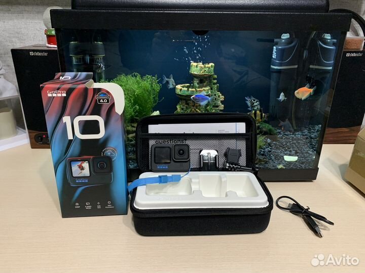 Gopro hero 10
