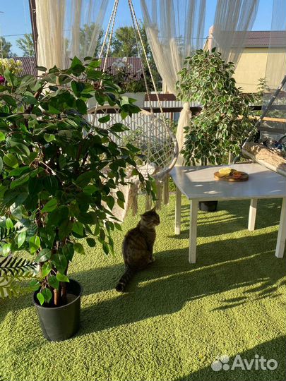 Искусственное дерево. Озеленение