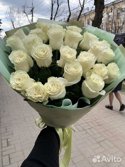 25 эквадорских роз белый красный розовый