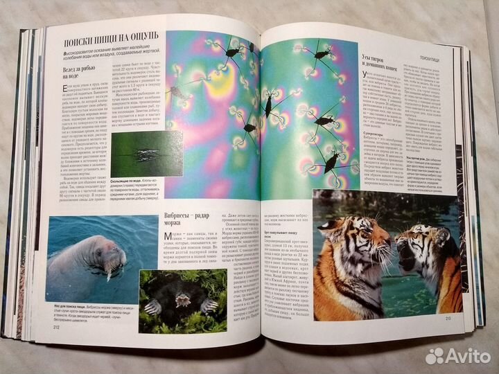 Книга Секреты природы, мир животных и растений