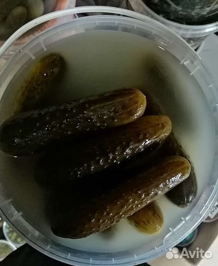 Огурцы солёные, бочковые