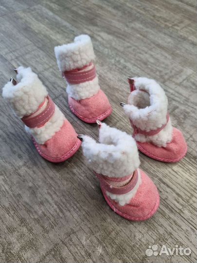 Обувь для маленьких собак