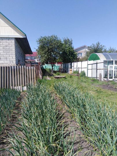 Участок 6 сот. (ИЖС)