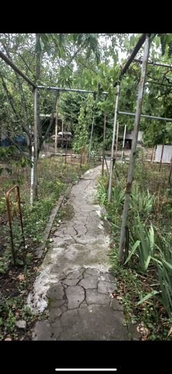 Дом 29 м² на участке 4,4 сот.