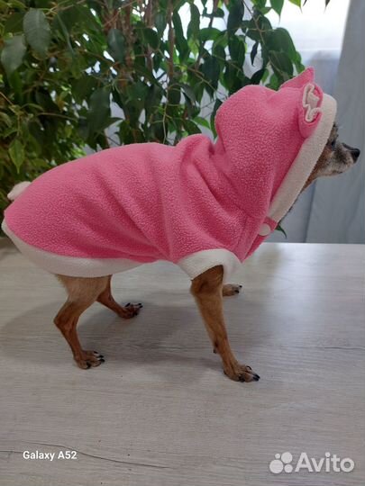 Одежда для собак