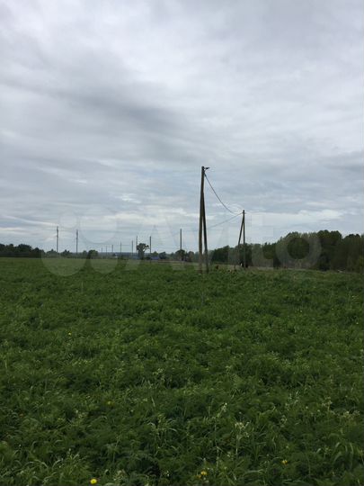 Участок 15 сот. (ИЖС)