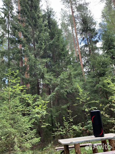 Аренда мощной колонки