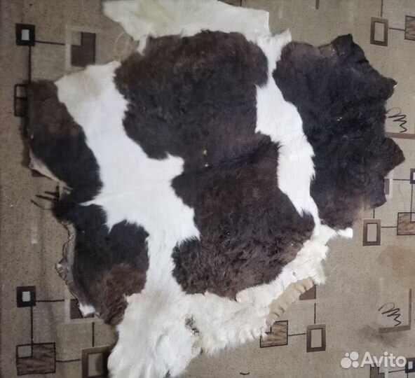 Шкура коровы