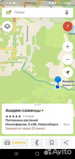 Саженцы яблони, груши