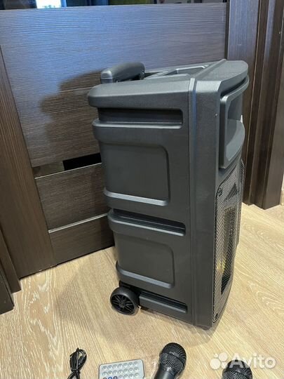 Колонка комбик +2 микрофона