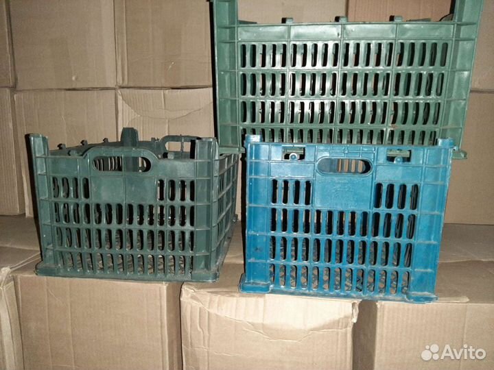 Ящик пластиковый оващной