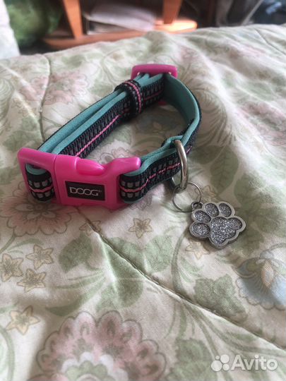 Амкниция для собак