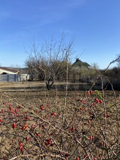 Участок 5,4 сот. (СНТ, ДНП)