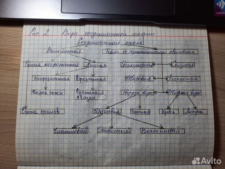 Напишу/напечатаю конспекты/лекции