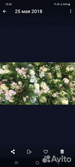 Букеты на праздник