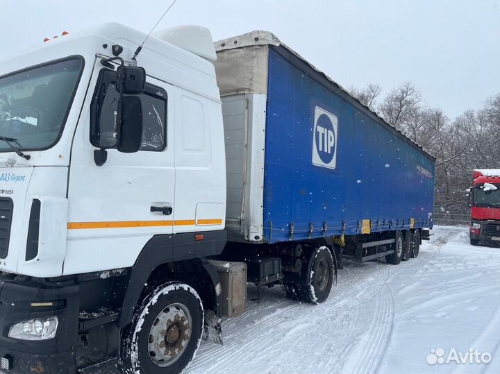 Полуприцеп тентованный Schmitz Cargobull S01, 2006