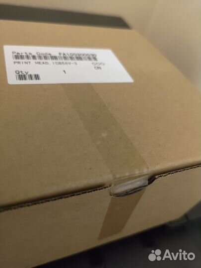 Epson print head FA10030