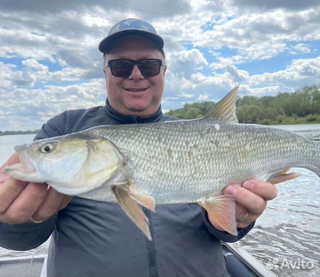 Рыбалка с гидом на Оке в Московской области