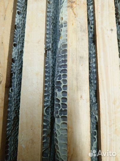 Мёд в сотах в рамке