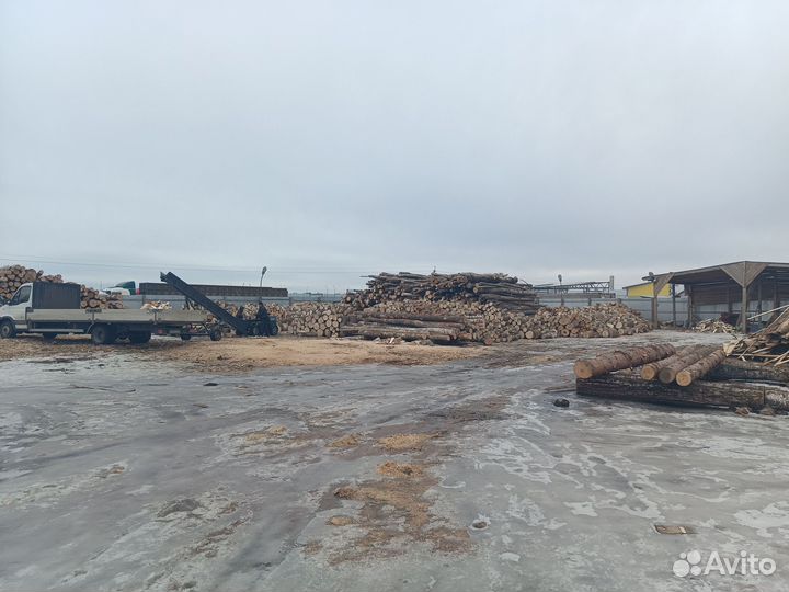 Дрова ясеневые от 6м3