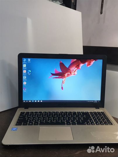 Шустрый HP asus