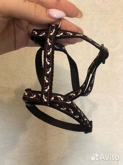 Ошейник для кошек