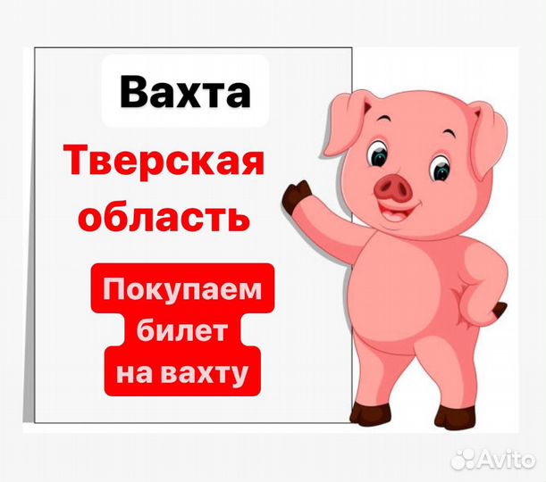 Упаковщики летняя подработка Вахта /оплатим проезд