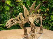 Фигура скелет динозавра