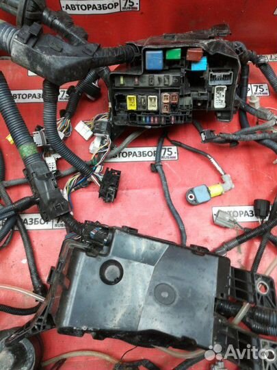 Проводка световая Toyota Vanguard ACA33W 2azfe