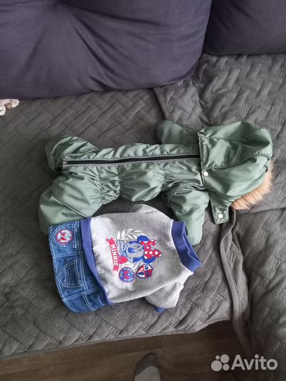 Костюм для собаки