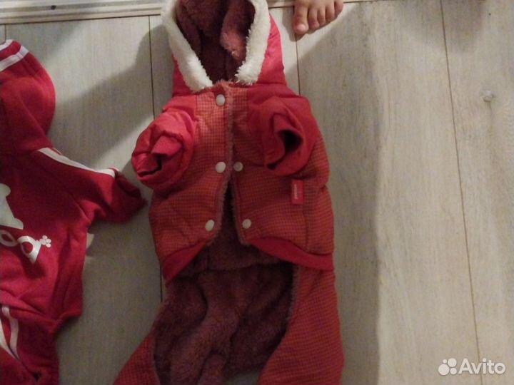 Комбинезон для маленькой собаки