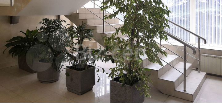 Офисное помещение 520 кв.м от собственника