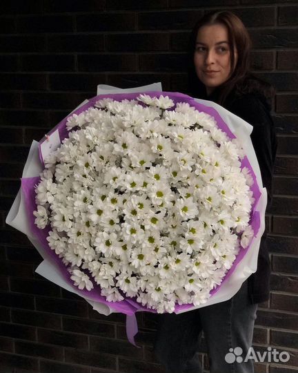 Хризантемы, Букет 51 Хризантема, Цветы с Доставкой