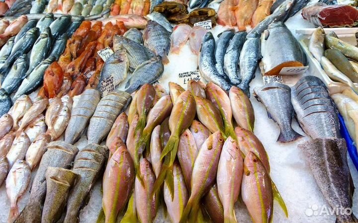 Прибыльный готовый бизнес – рыбный магазин