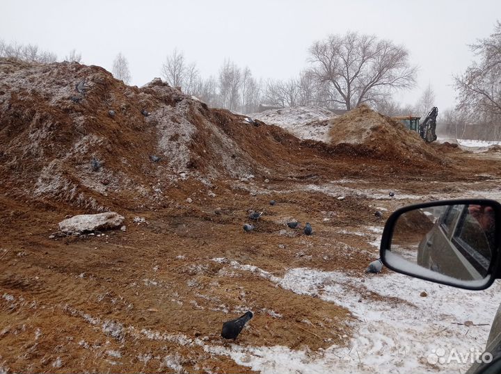 Конский перегной,навоз