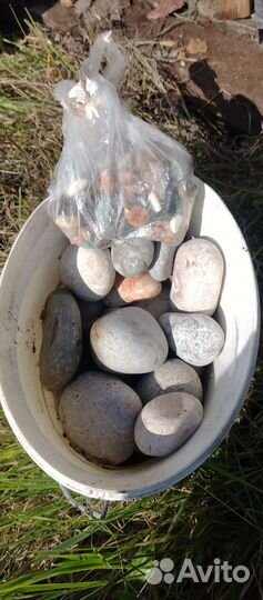 Морские камушки, Черноморские