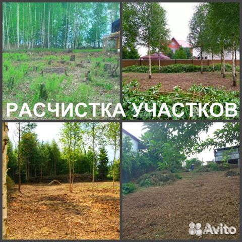 Профессиональный Спил Деревьев