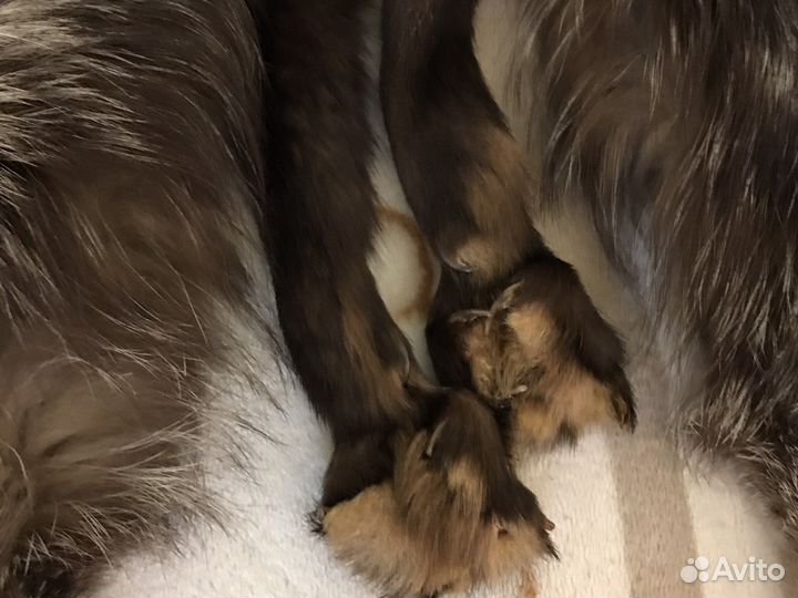 Сьемный меховой воротник. Из чернобурки