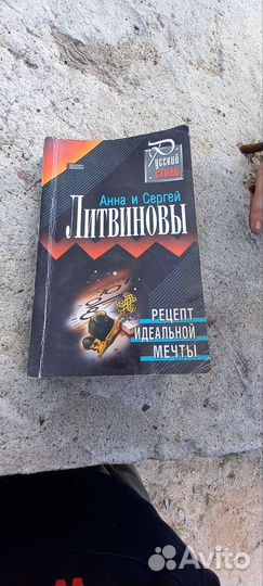Книга Литвиновы