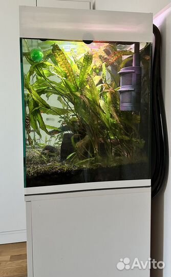 Аквариум с тумбой и оборудованием 130 литров