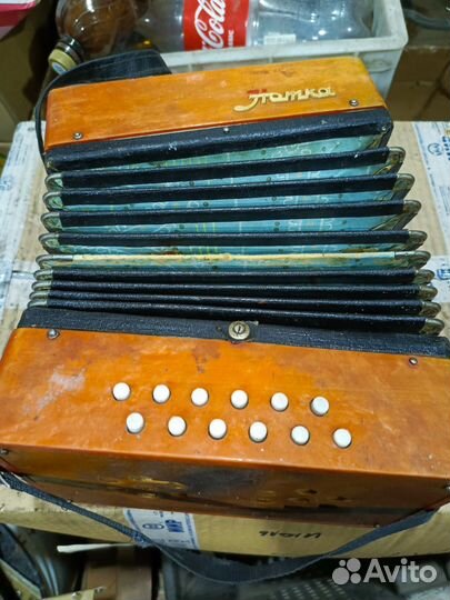 Гармонь детская