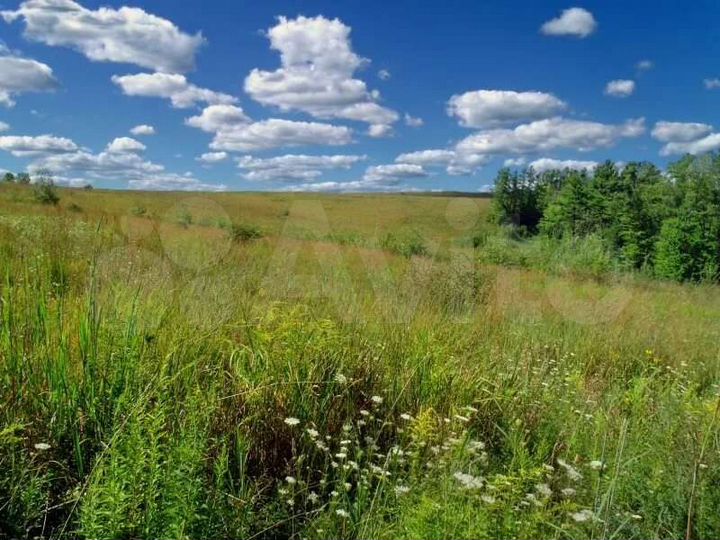 Участок 72 сот. (ИЖС)