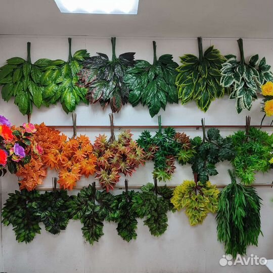 Плющи, ветки, лианы, зелень