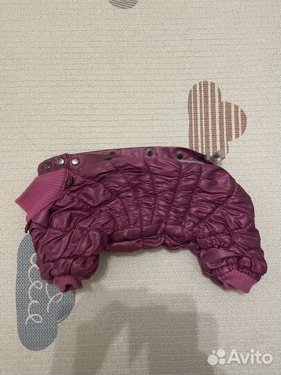 Одежда для собак