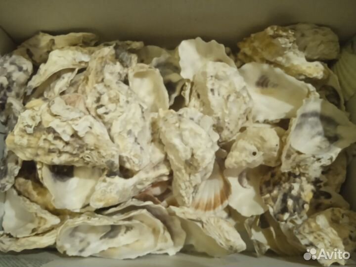 Грунт для аквариума Серый